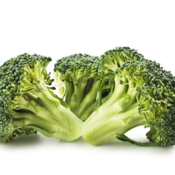 A close up of high protein broccoli on a white background.