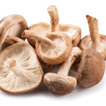 A pile of high protein mushrooms on a white background.