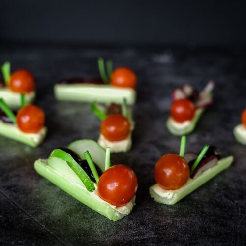 insect vegetable snacks