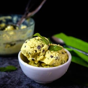 mint chocolate ice cream