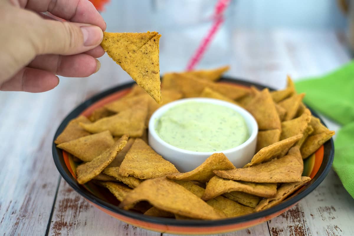 The Best Low Carb Tortilla Chips - Keto & Low Carb Vegetarian Recipes