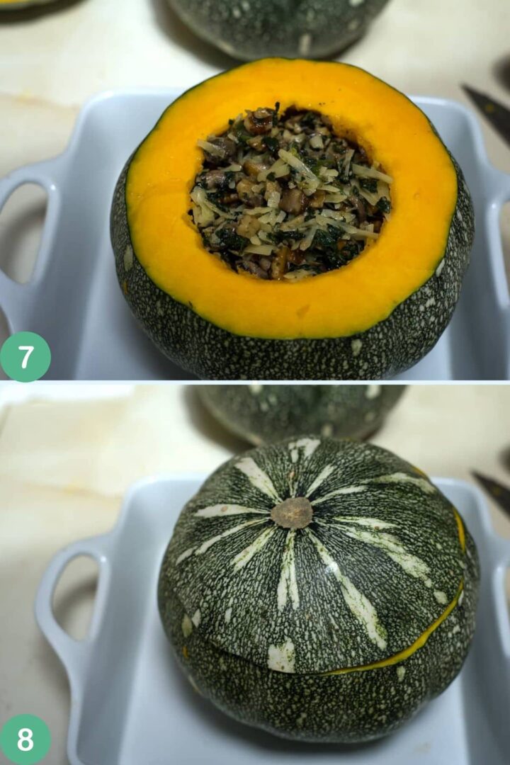 pumpkin process