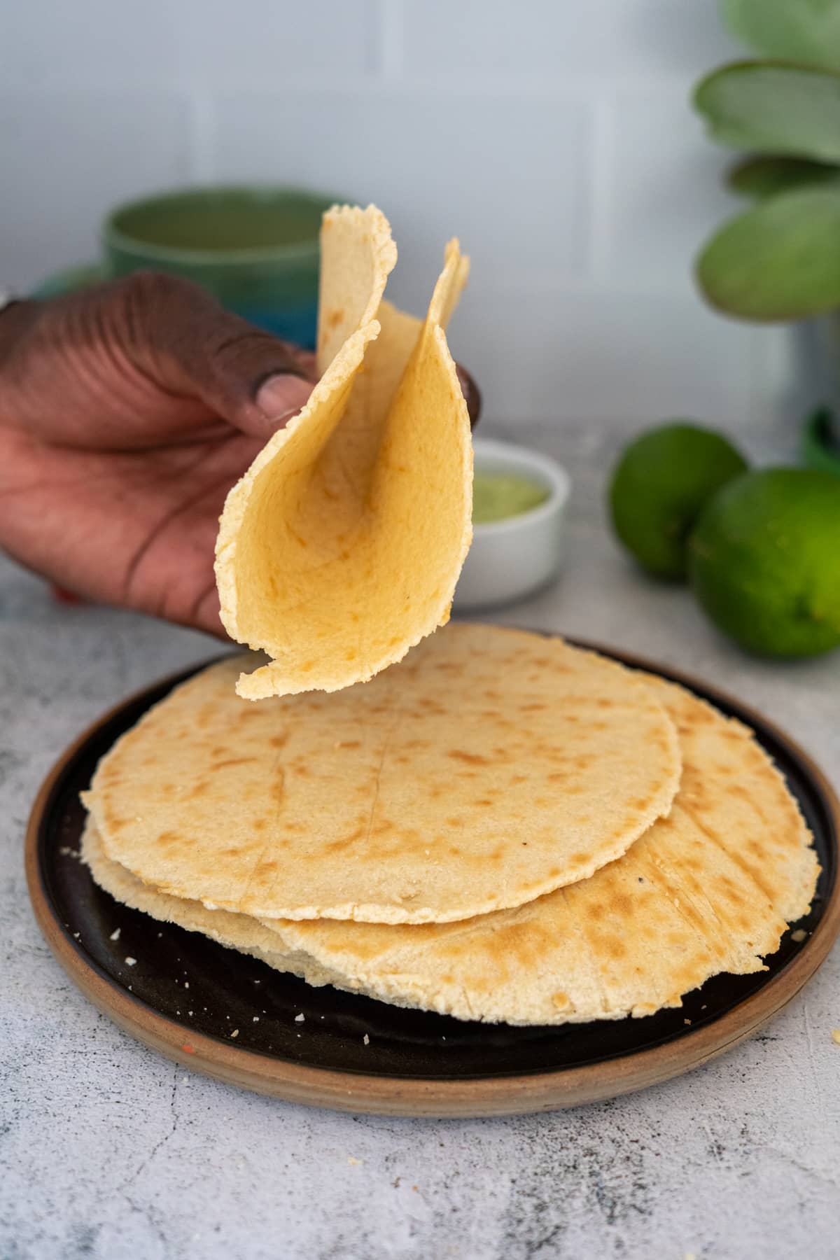 almond flour tortilla