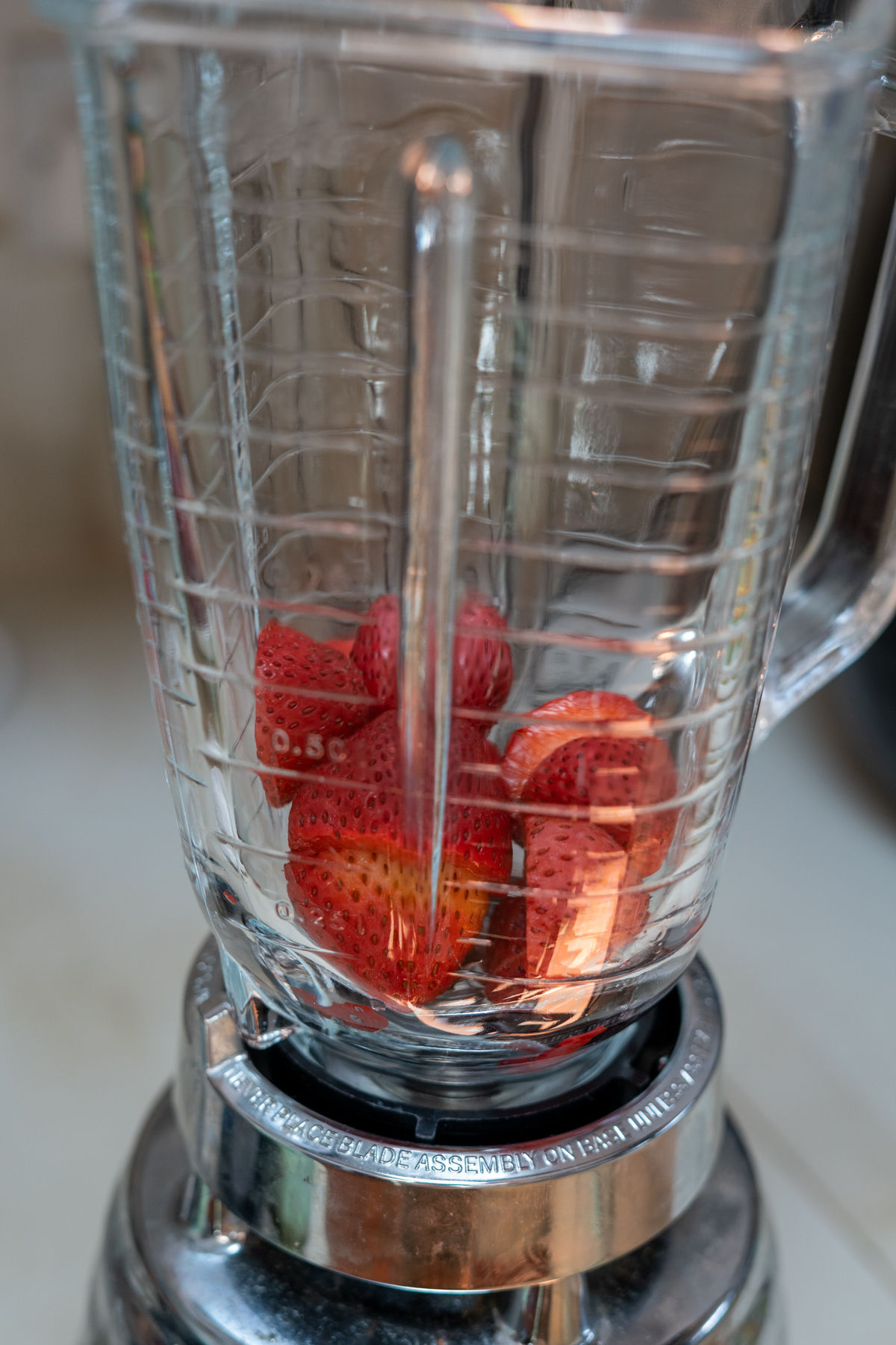 blender with strawberries