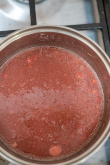 puree to agar mixture