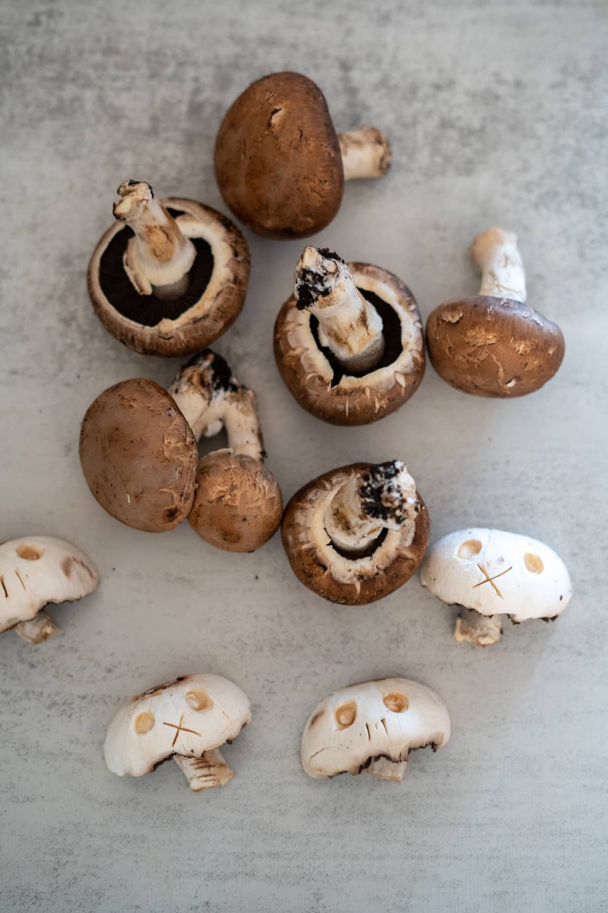 mushroom skulls halloween