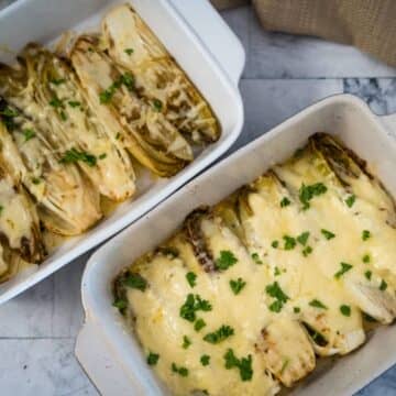 endives gratin