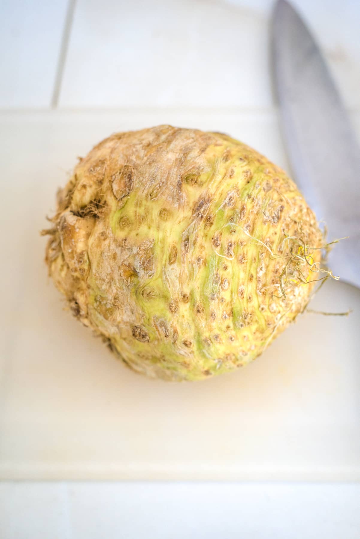 celeriac or celery root