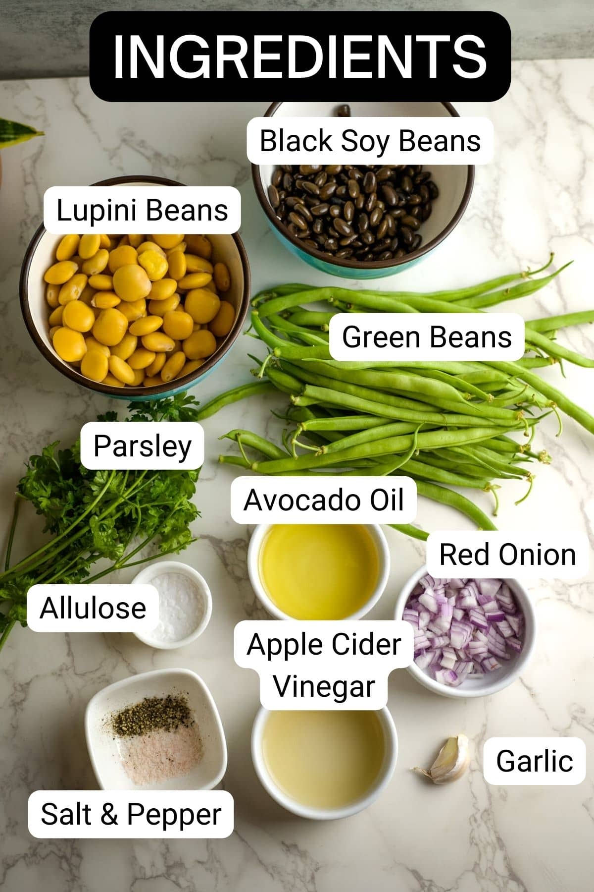 Bean Salad Ingredients Keto Low Carb Vegetarian Recipes