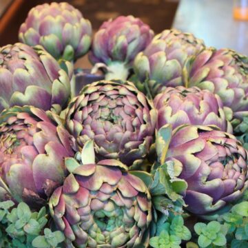 A cluster of artichokes arranged on a table.
