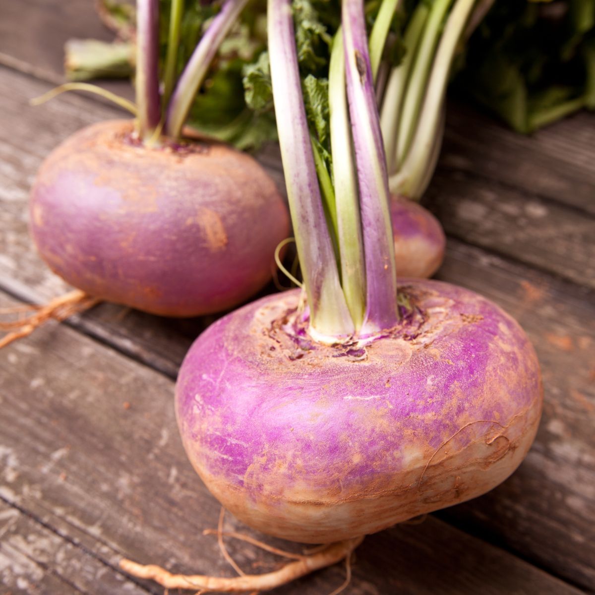 Two turnips on a wooden table.