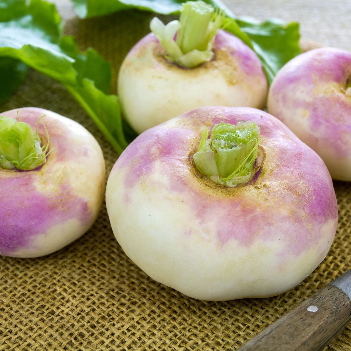 Four purple turnips on a table.